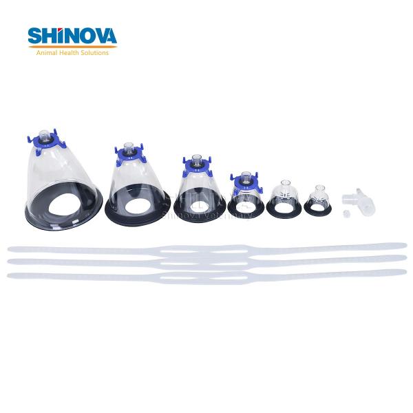 Animal Mask Set (6pcs/set)