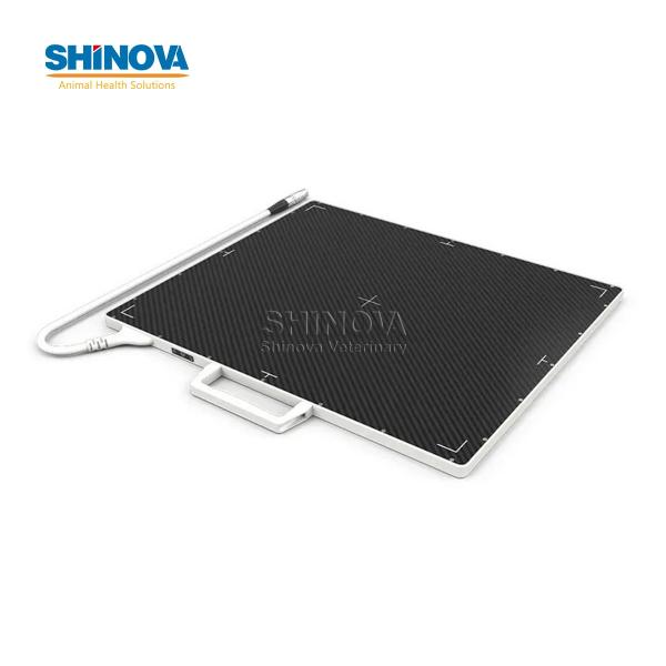 X-Ray Flat Panel Detector