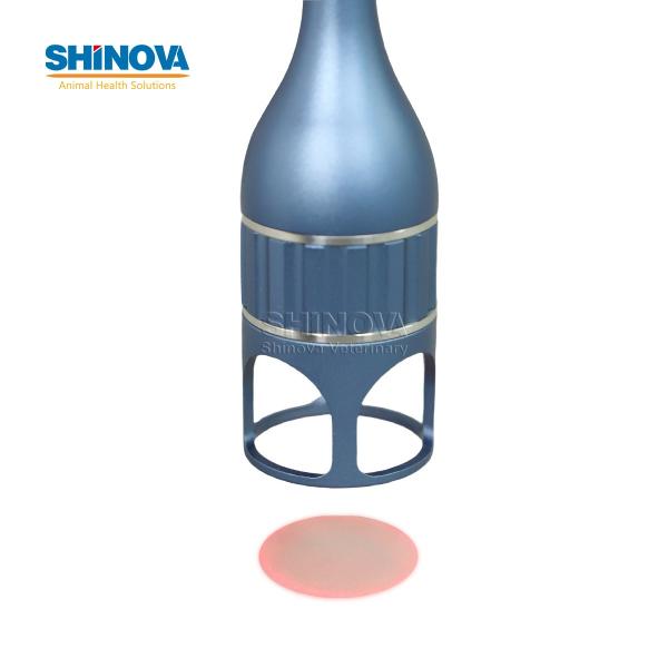 Veterinary Diode Laser System