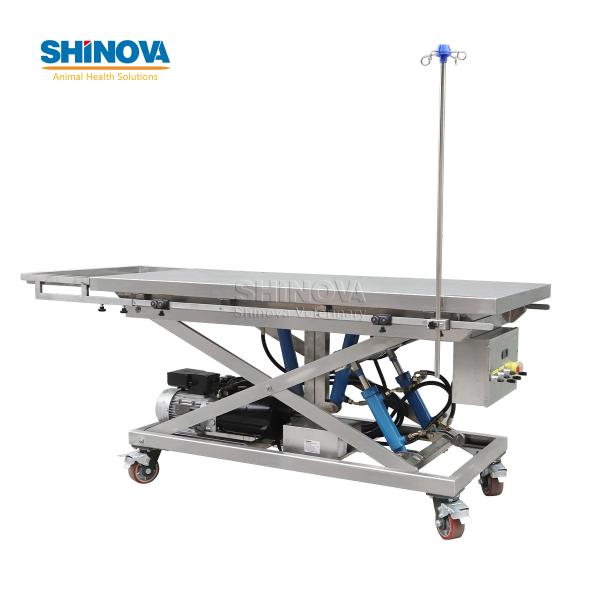 Large Animal Surgical Table for Sea Turtle