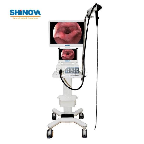 Video Endoscope Imaging Processor