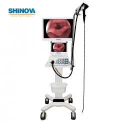 Video Endoscope Imaging Processor