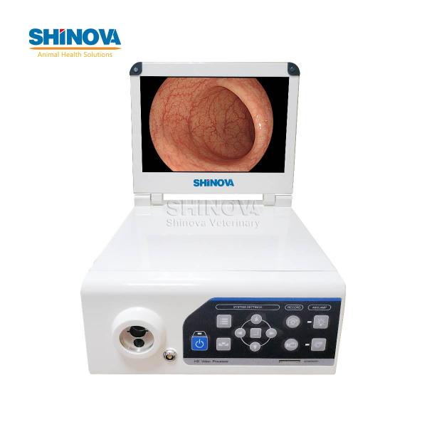 Video Endoscope Imaging Processor