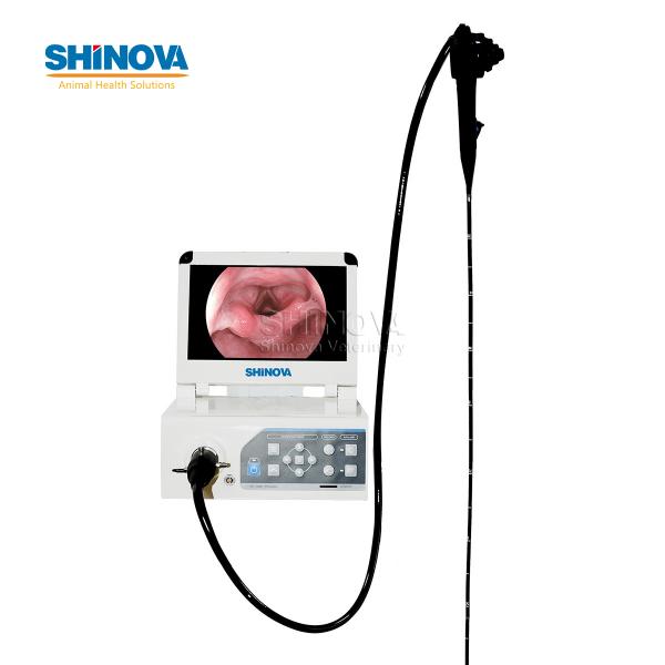 Video Endoscope Imaging Processor