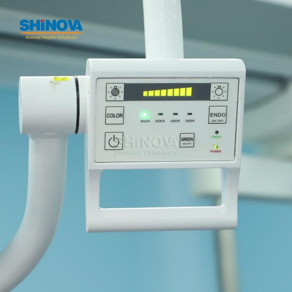 Veterinary LED Surgical Light