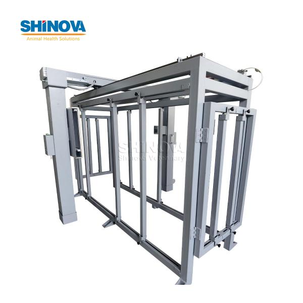 Large Animal DR System for Equine and Bovine Abdominal Imaging