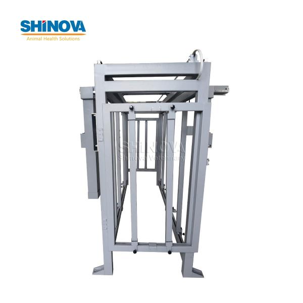 Large Animal DR System for Equine and Bovine Abdominal Imaging