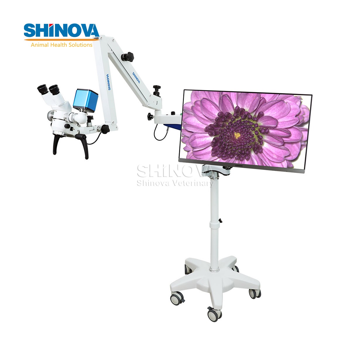 Veterinary Operating Microscope (for Dental and Ophthalmic)