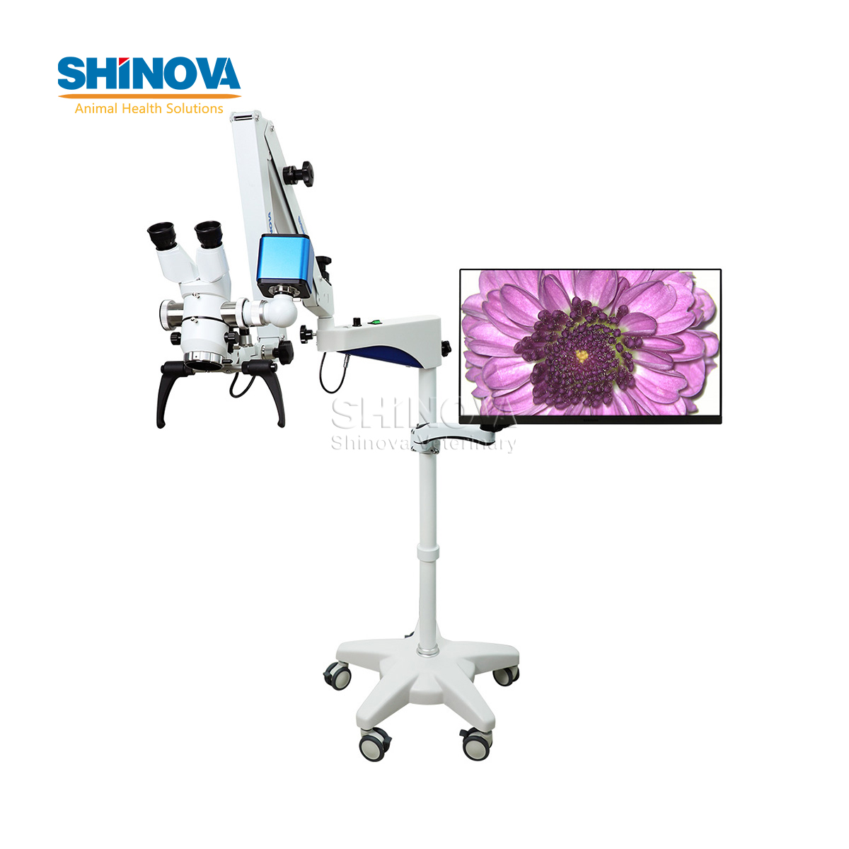 Veterinary Operating Microscope (for Dental and Ophthalmic)