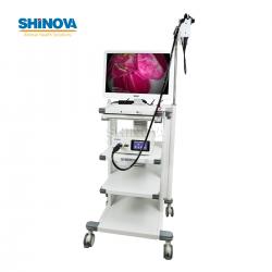 1.5-Meter Veterinary Endoscopy Tower System