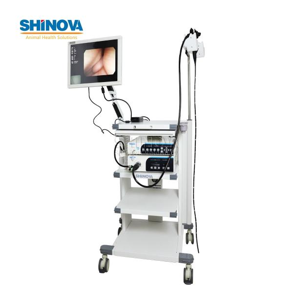 1.5-Meter Veterinary Endoscopy Tower System