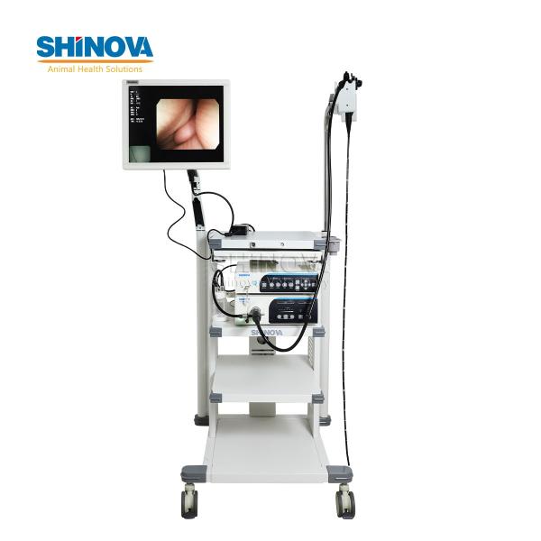 1.2-Meter Veterinary Endoscopy Tower System