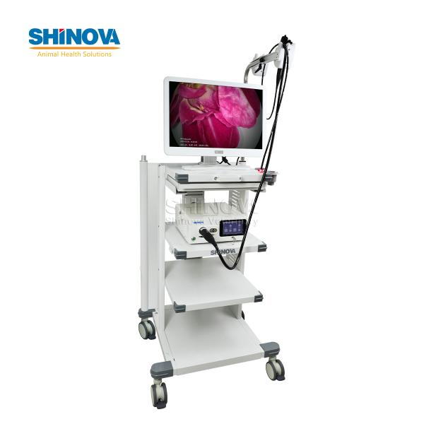 1.2-Meter Veterinary Endoscopy Tower System