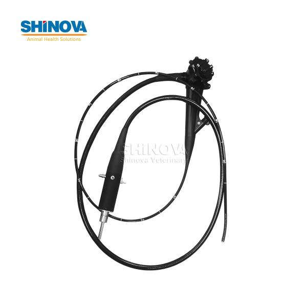 1.2-Meter Veterinary Endoscopy Tower System