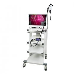 1.2-Meter Veterinary Endoscopy Tower System