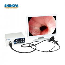 1.2-Meter Veterinary Endoscopy Tower System
