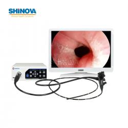 1.5-Meter Veterinary Endoscopy Tower System