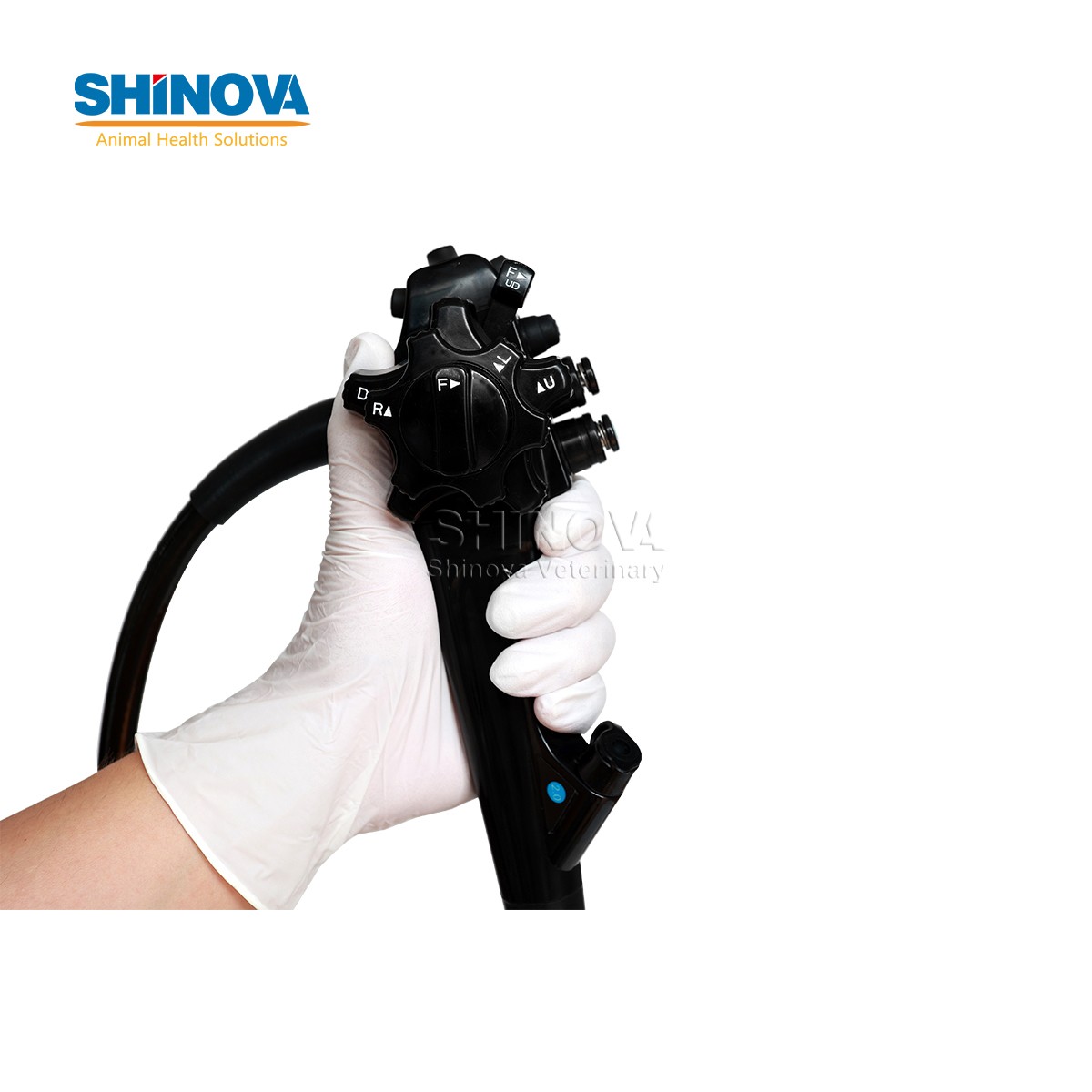 1.5-Meter Veterinary Endoscopy Tower System