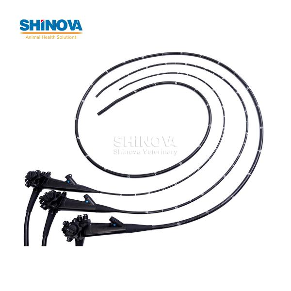 3.5-Meter Veterinary Endoscopy Tower System