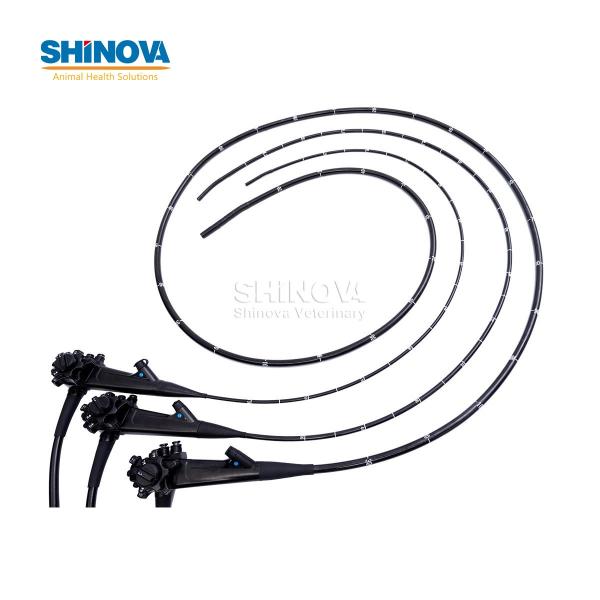 3.0-Meter Veterinary Endoscopy Tower System