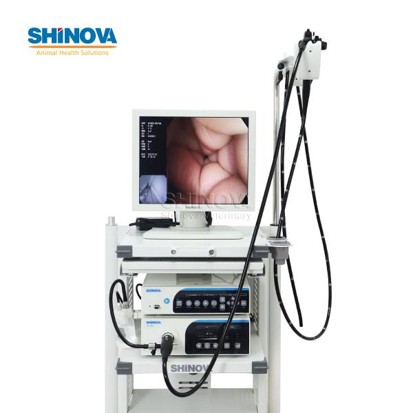 3.0-Meter Veterinary Endoscopy Tower System