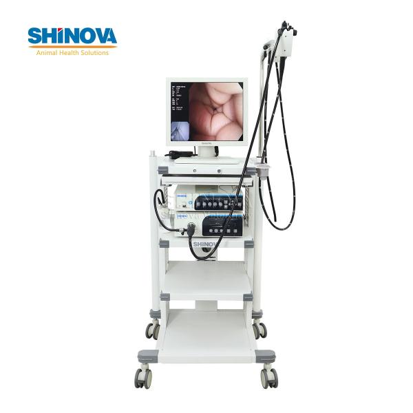 3.5-Meter Veterinary Endoscopy Tower System