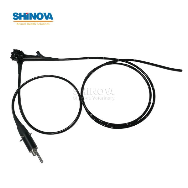 3.5-Meter Veterinary Endoscopy Tower System