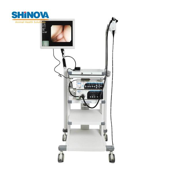3.5-Meter Veterinary Endoscopy Tower System