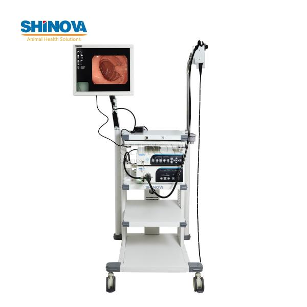 1.5-Meter Veterinary Endoscopy Tower System