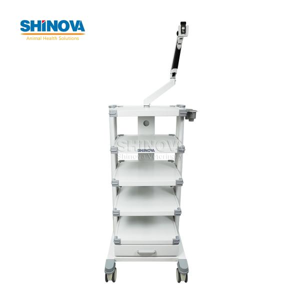 Endoscopy Trolley for Veterinary Laparoscopy System with Adjustable Monitor Arm