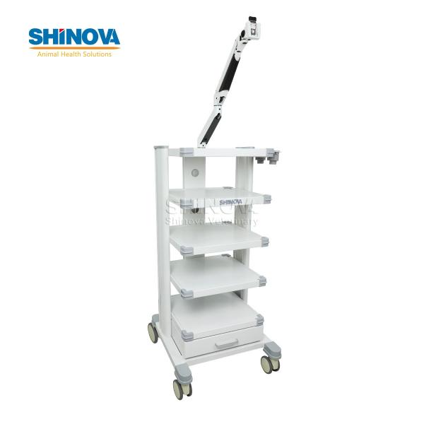 Endoscopy Trolley for Veterinary Laparoscopy System with Adjustable Monitor Arm