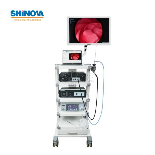 Veterinary Full HD Endoscopy Imaging System with LED Light Source & Monitor