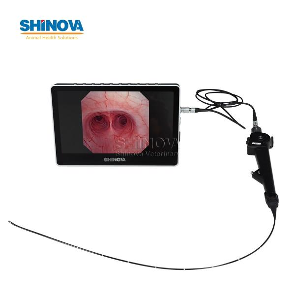 Portable Small Animal Veterinary Video Endoscope System