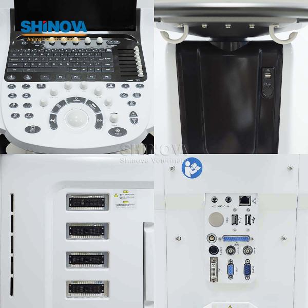 Trolley Veterinary Color Doppler Ultrasound System