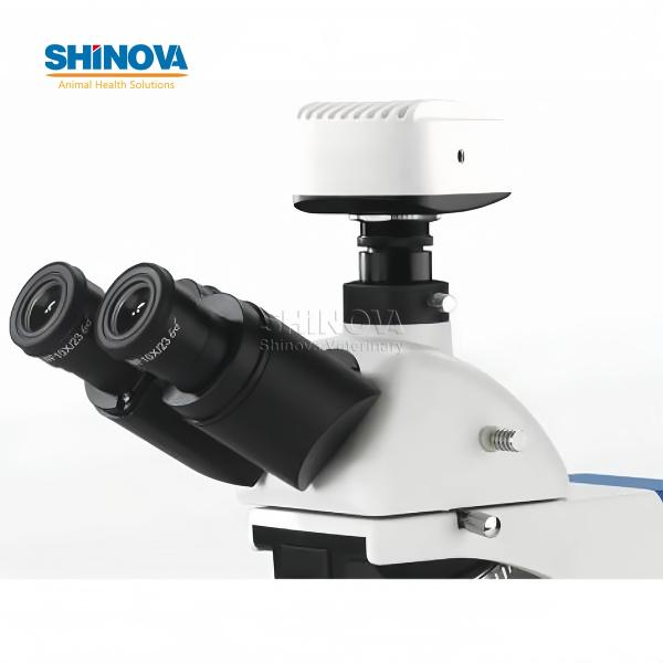 Veterinary Ophthalmic Operating Microscope