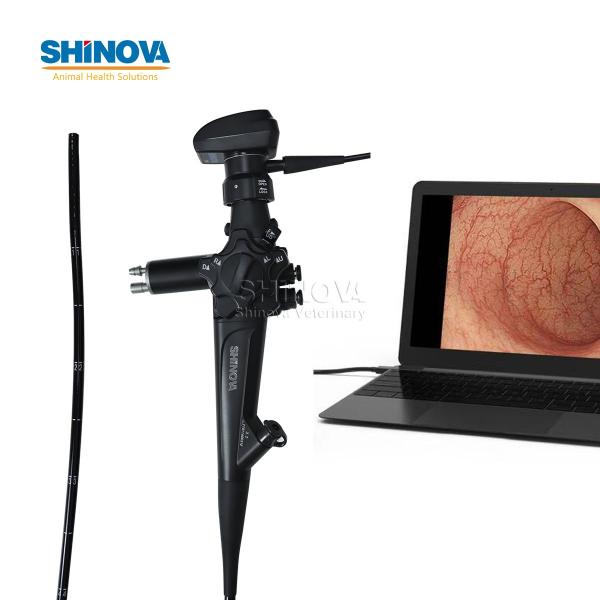 Portable Veterinary Equine Endoscope