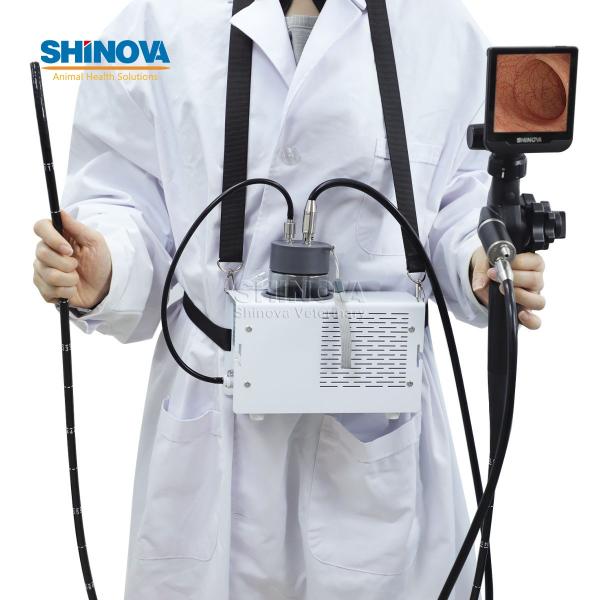 Portable Veterinary Equine Endoscope