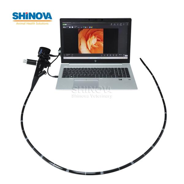 Portable Veterinary Equine Endoscope