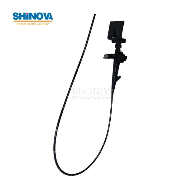 Portable Veterinary Equine Endoscope