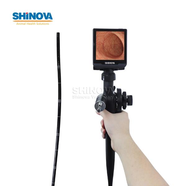 Portable Veterinary Equine Endoscope