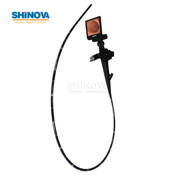 Portable Veterinary Equine Endoscope