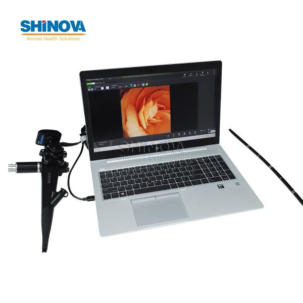 Portable Veterinary Equine Endoscope