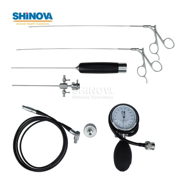 Veterinary Electronic Rhinoscope and Otoscope