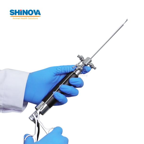 Veterinary Electronic Rhinoscope and Otoscope
