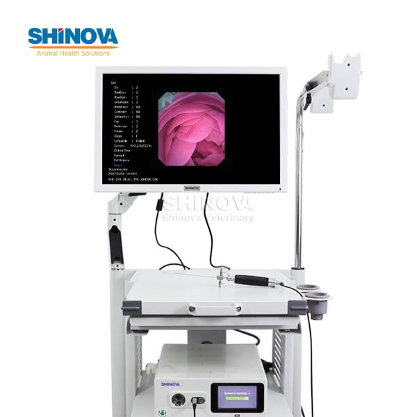 Veterinary Electronic Rhinoscope and Otoscope